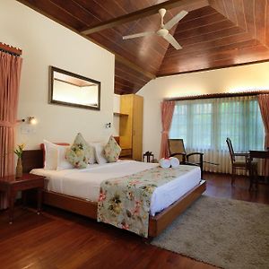 Nested Bungalow